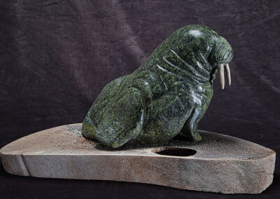 “Basking Walrus”