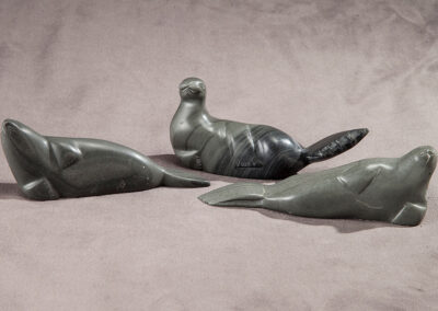 Untitled (Three Basking Seals)