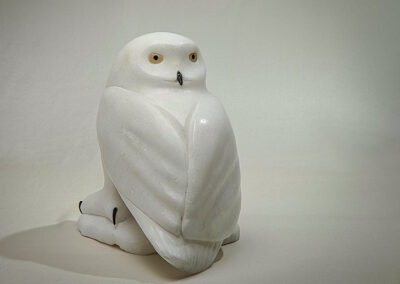 “Snowy Owl”
