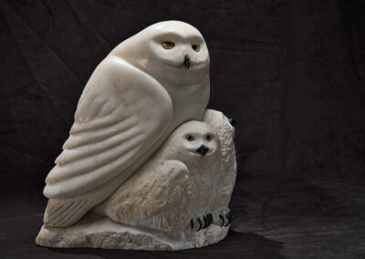 “Uppijjuaq (Snowy Owl) and Young”