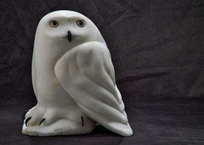 “Young Snowy Owl” SOLD