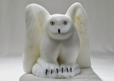 “Snowy Owl on the Shortest Day of the Year”