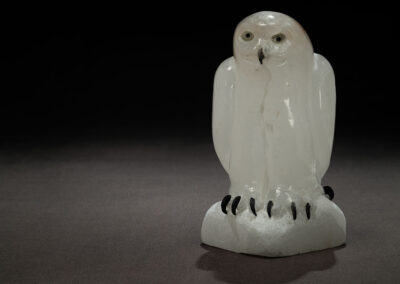“Snowy Owl With Two Sides” NEW