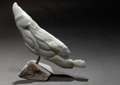 “Nujaqtuuq” NEW