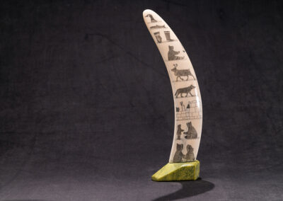 “Scrimshawed Walrus Tusk”
