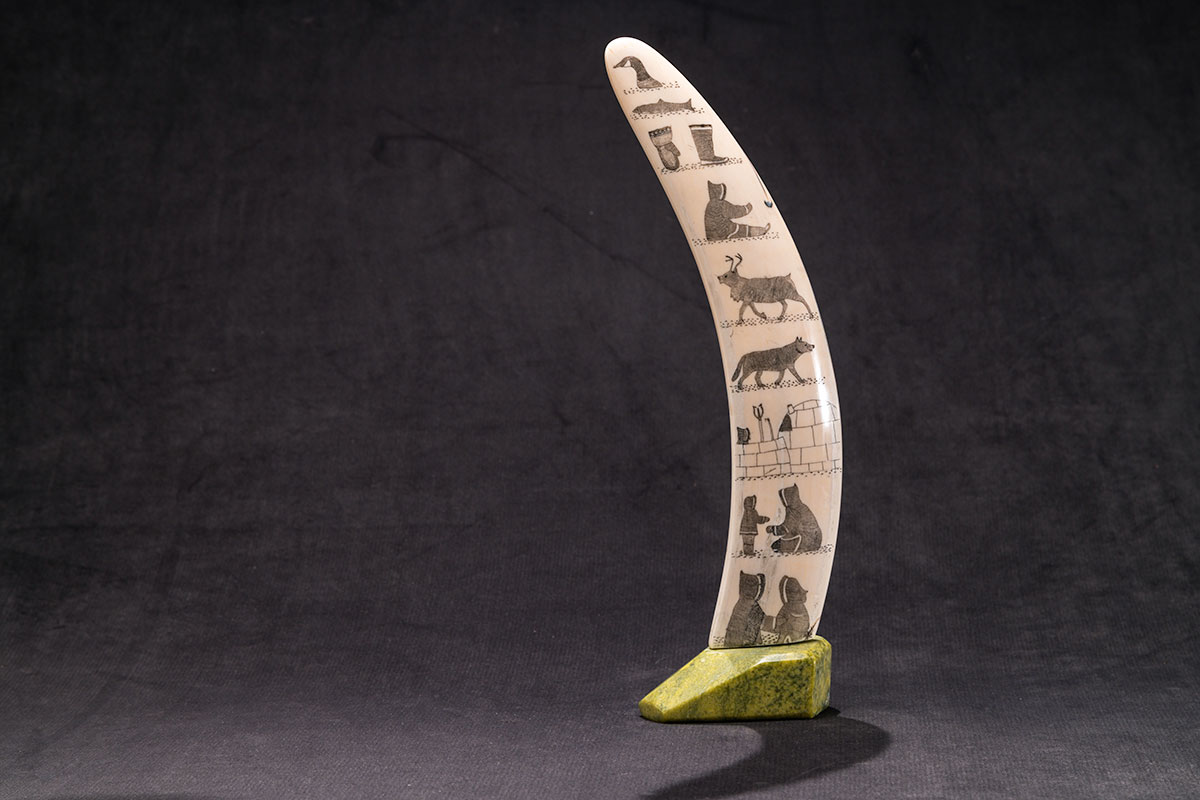 Photo_NLF2166-03_ScrimshawedWalrusTusk_02