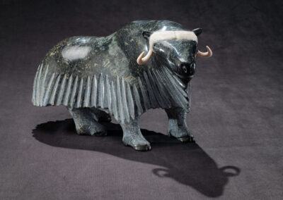 “Musk Ox”