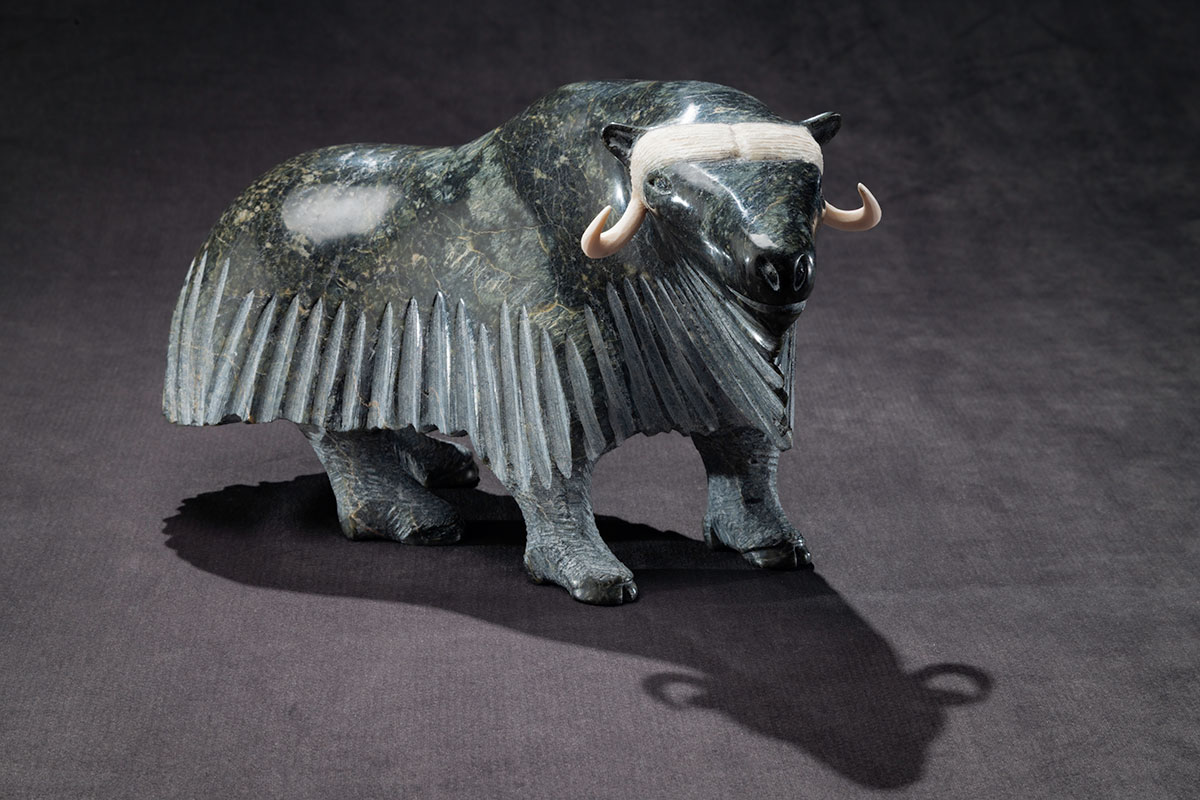 Photo_NLF2167-04_MuskOx_01