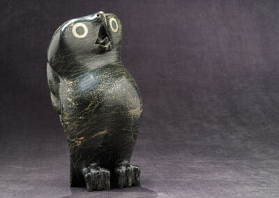 “Large Owl with Braid”