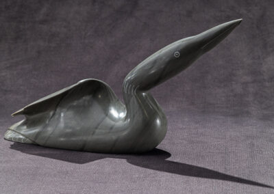 “Loon with Curved Wing”