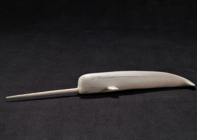 “Small Ivory Narwhal”