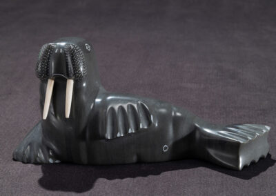 “Small Basking Walrus”