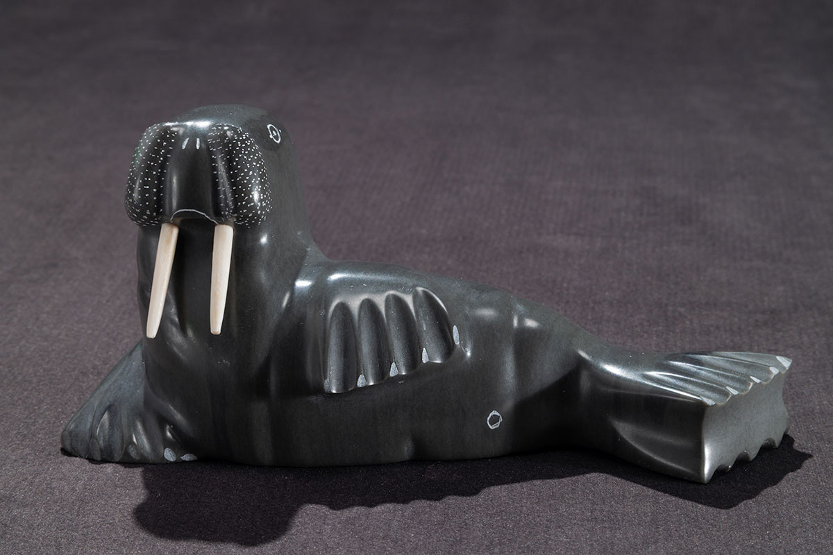 Photo_NLF2192-29_SmallBaskingWalrus_01