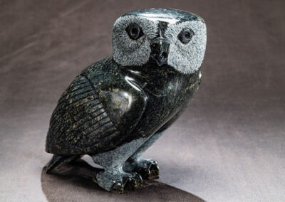 “Owl”