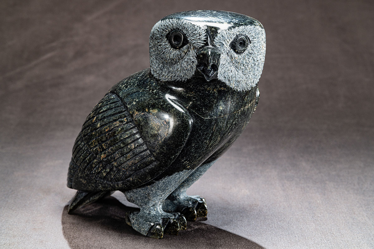 Photo_NLF2204-41_Owl_01