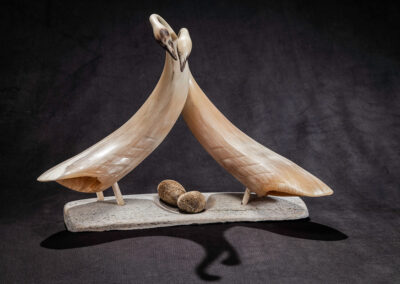 “Muskox Horn Swans”