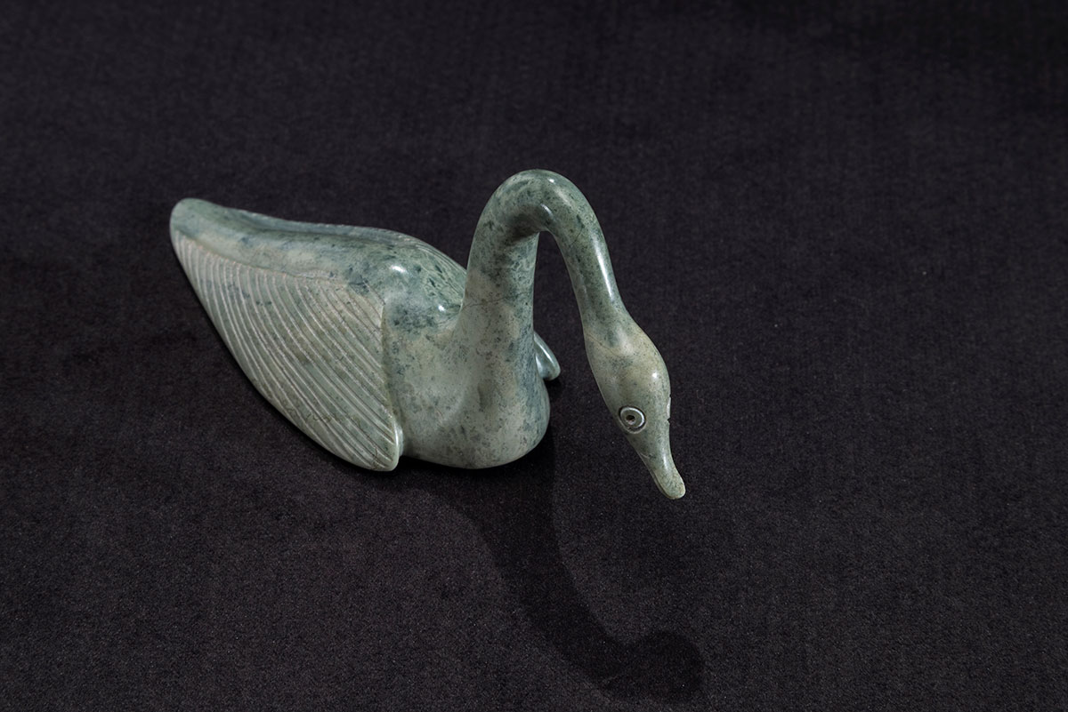 Photo_NLF2213-50_SmallSwan_01