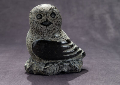 “Sitting Owl”
