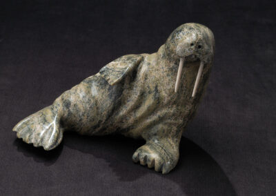 “Lounging Walrus”