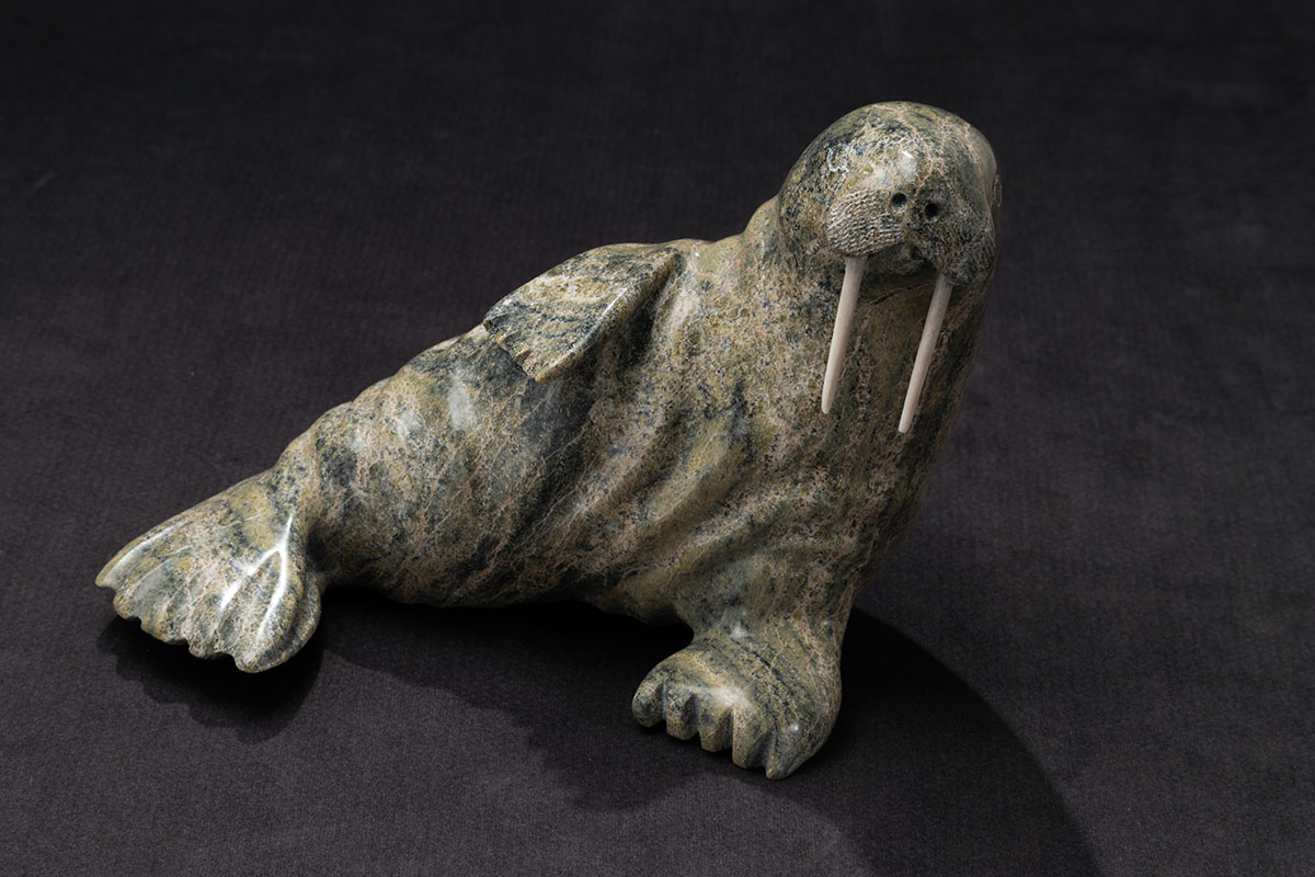 Photo_NLF2230-67_LoungingWalrus_01