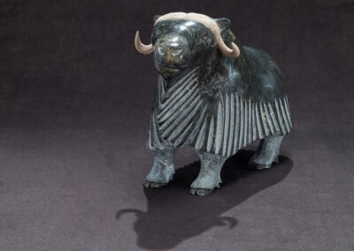 “Smiling Muskox”